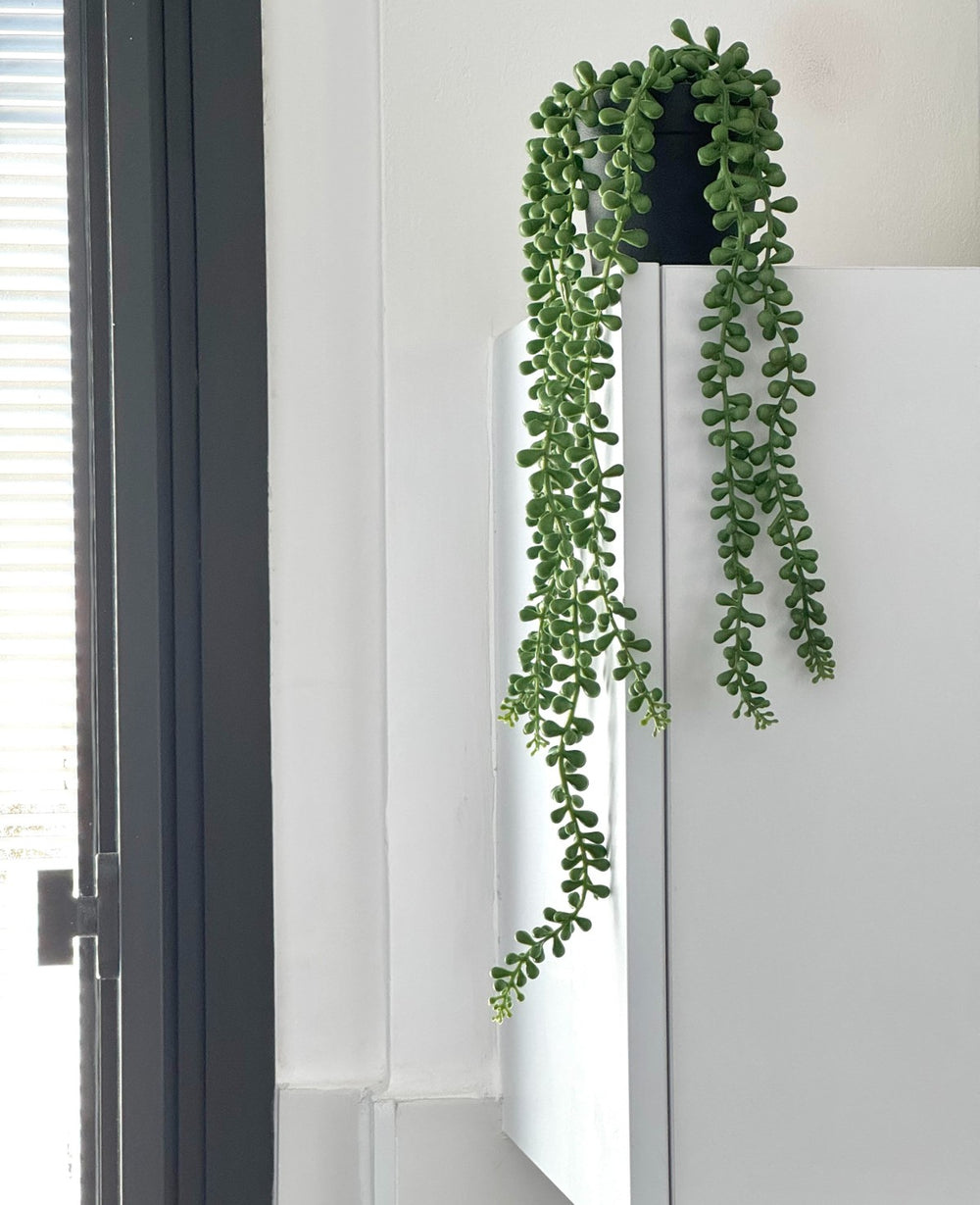 עציץ מלאכותי זואי (B2B)