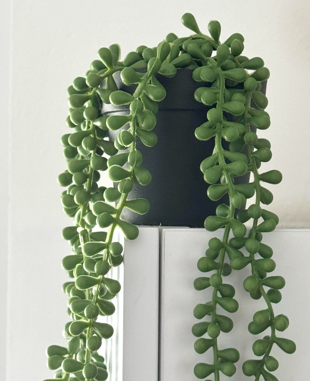 עציץ מלאכותי זואי