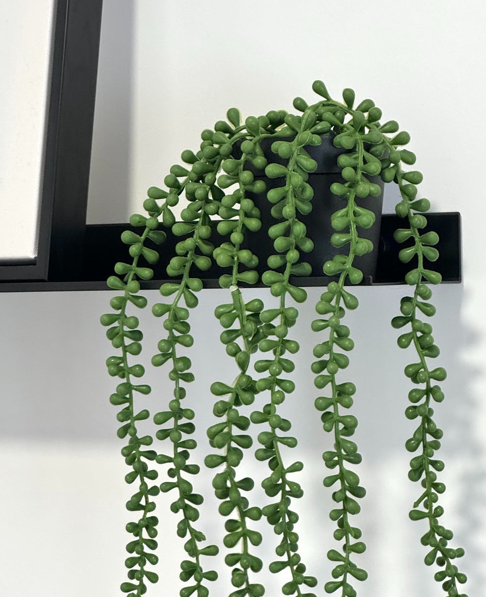 עציץ מלאכותי זואי (B2B)