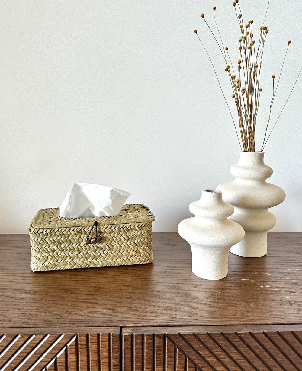 קופסת קש לטישו (B2B)