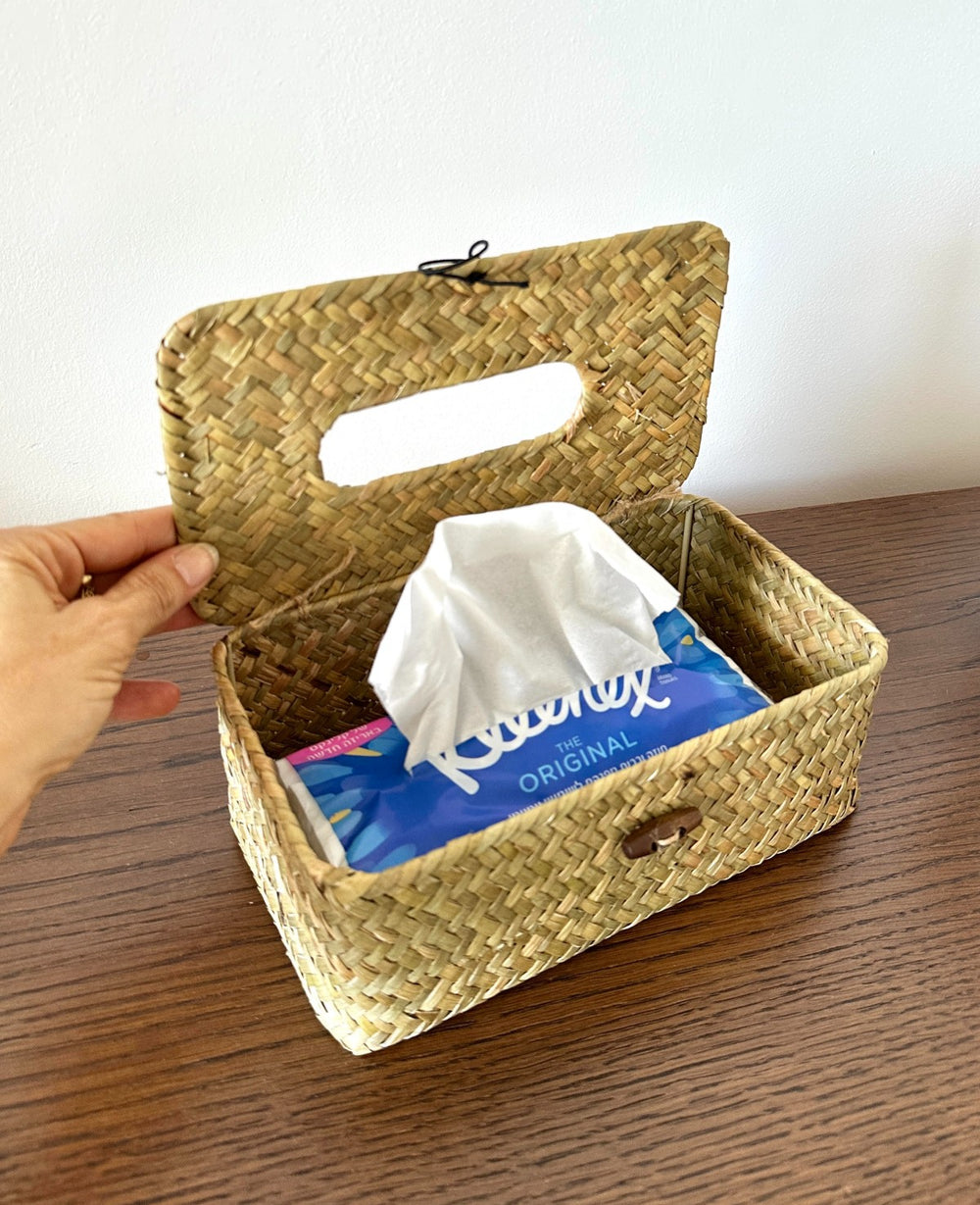 קופסת קש לטישו (B2B)