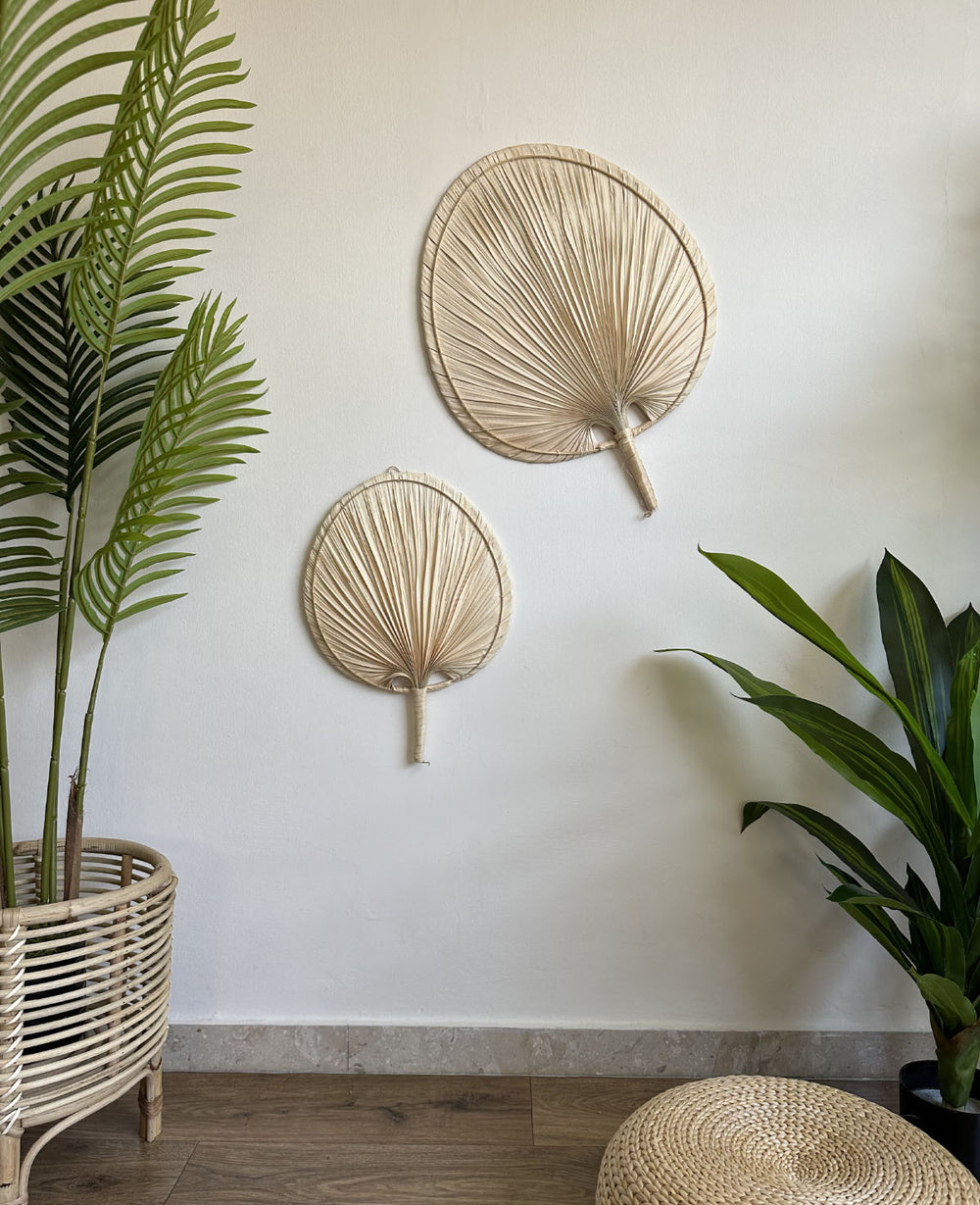 מניפת דקל שייח (B2B)