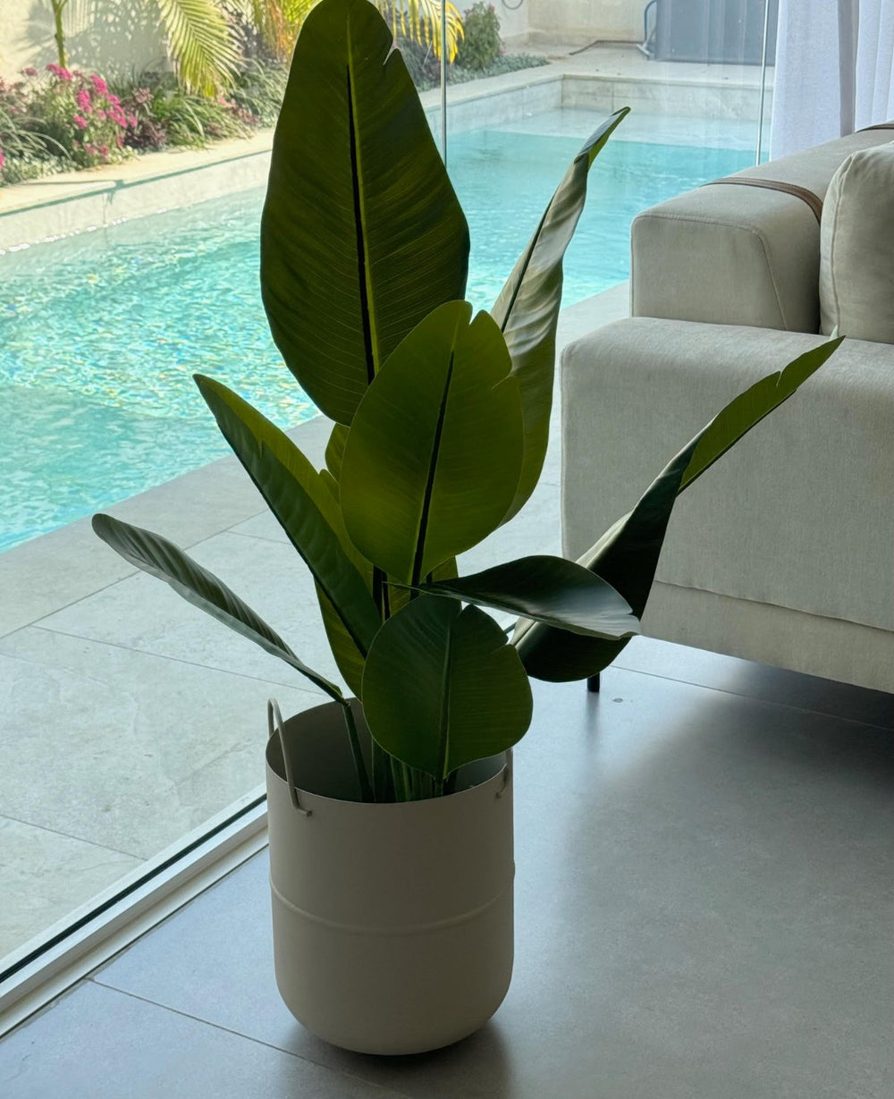 URBAN CREAM (B2B) כלי לעציץ