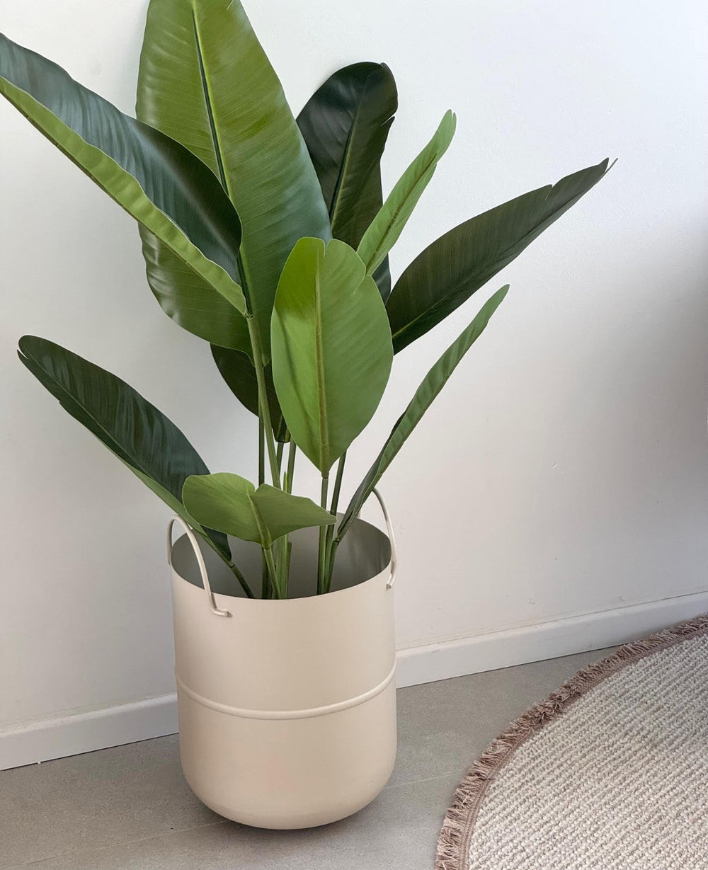 URBAN CREAM (B2B) כלי לעציץ