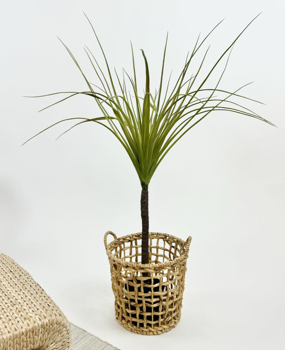 עציץ דרקון מלאכותי