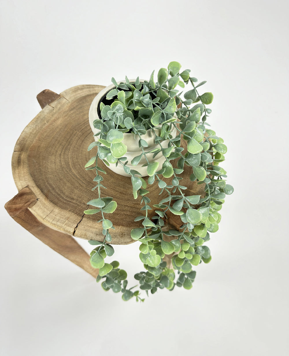 עציץ מלאכותי סברינה (B2B)