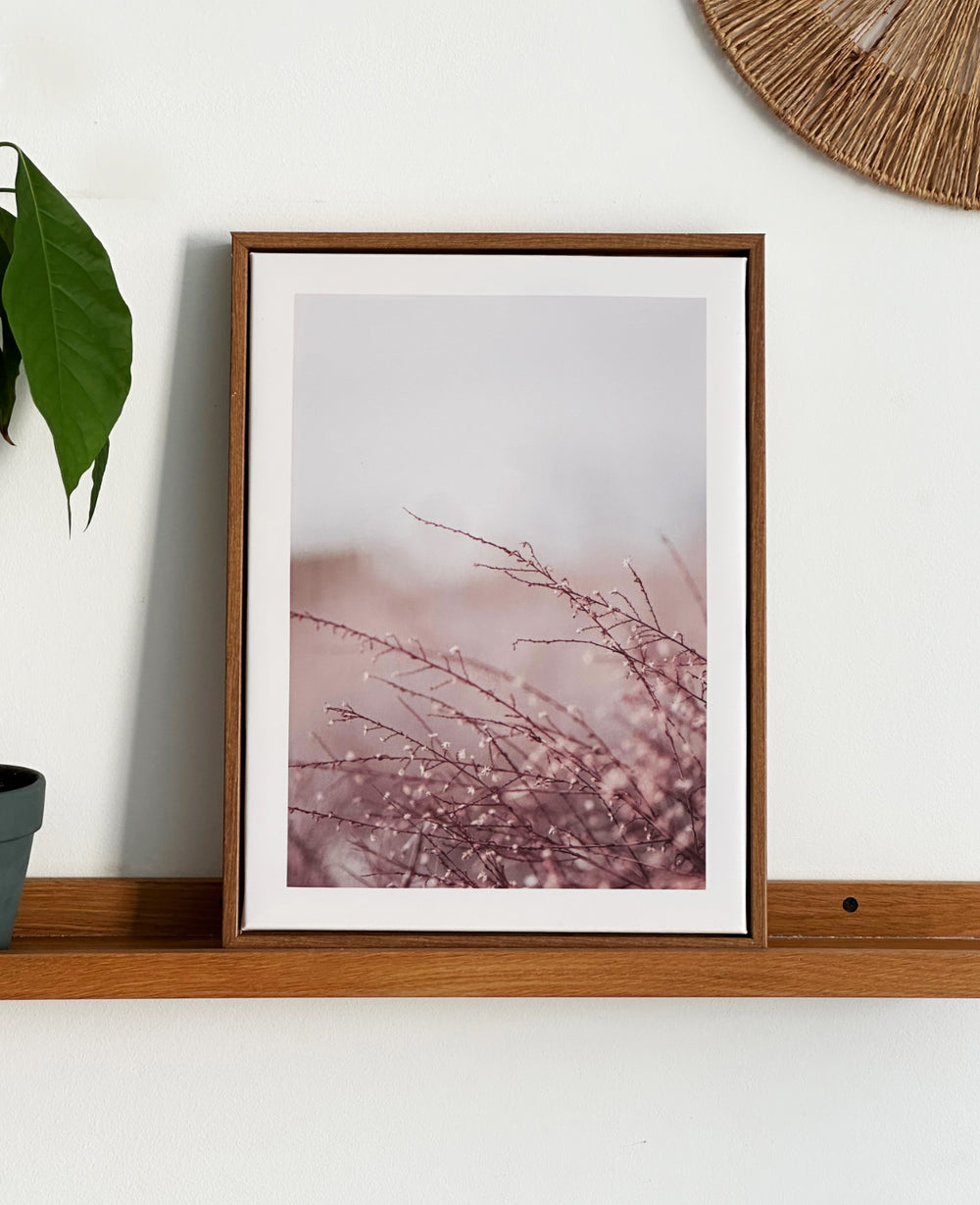 תמונות קיר ווילד (B2B)