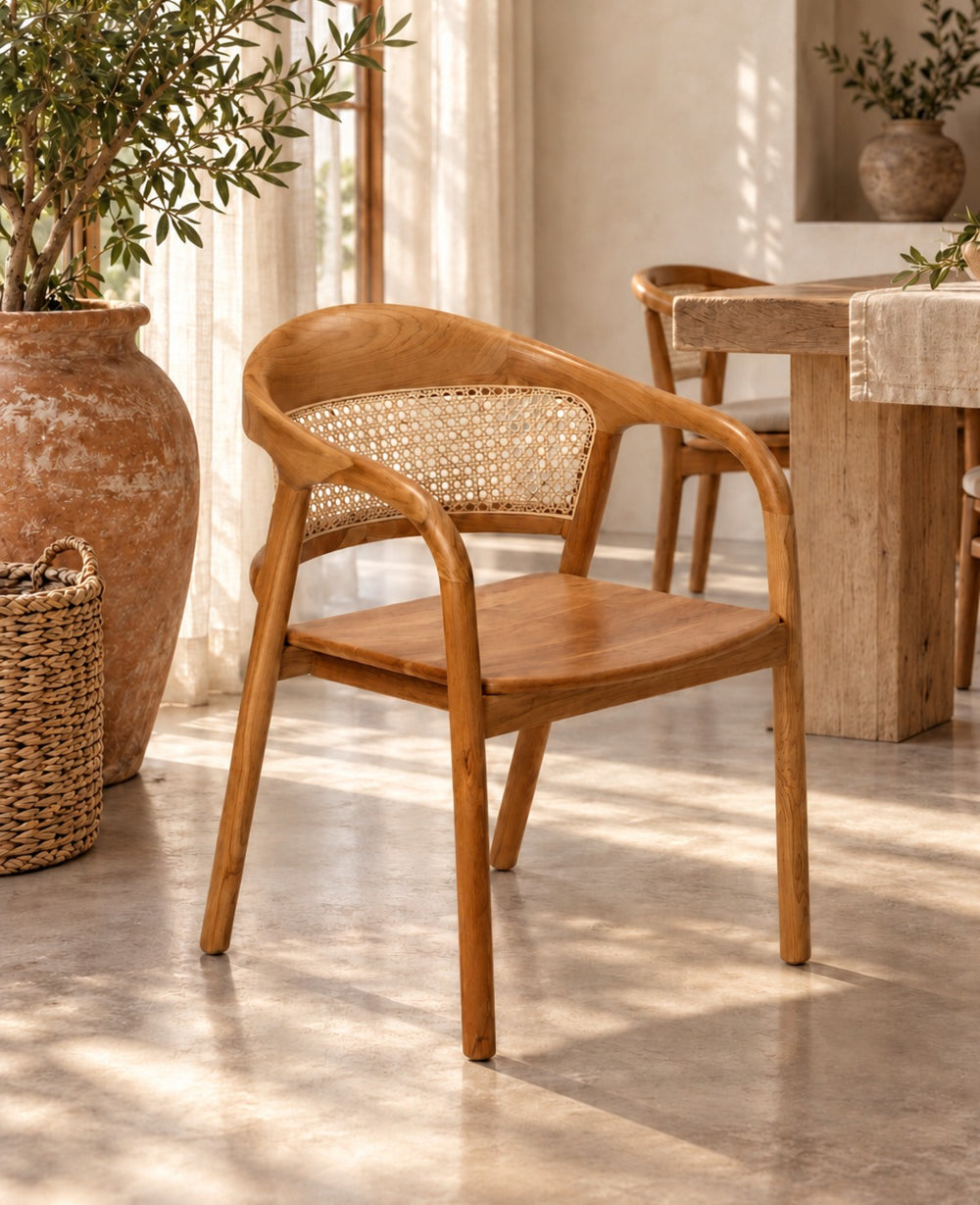 כיסא אוכל ELIO RATTAN