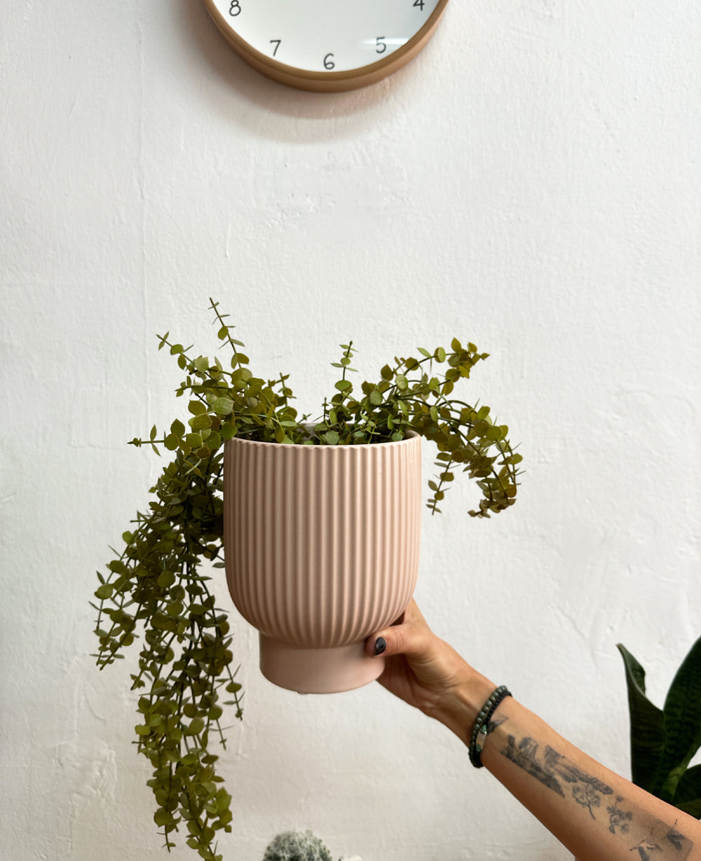 כלי לעציץ סטרייפ