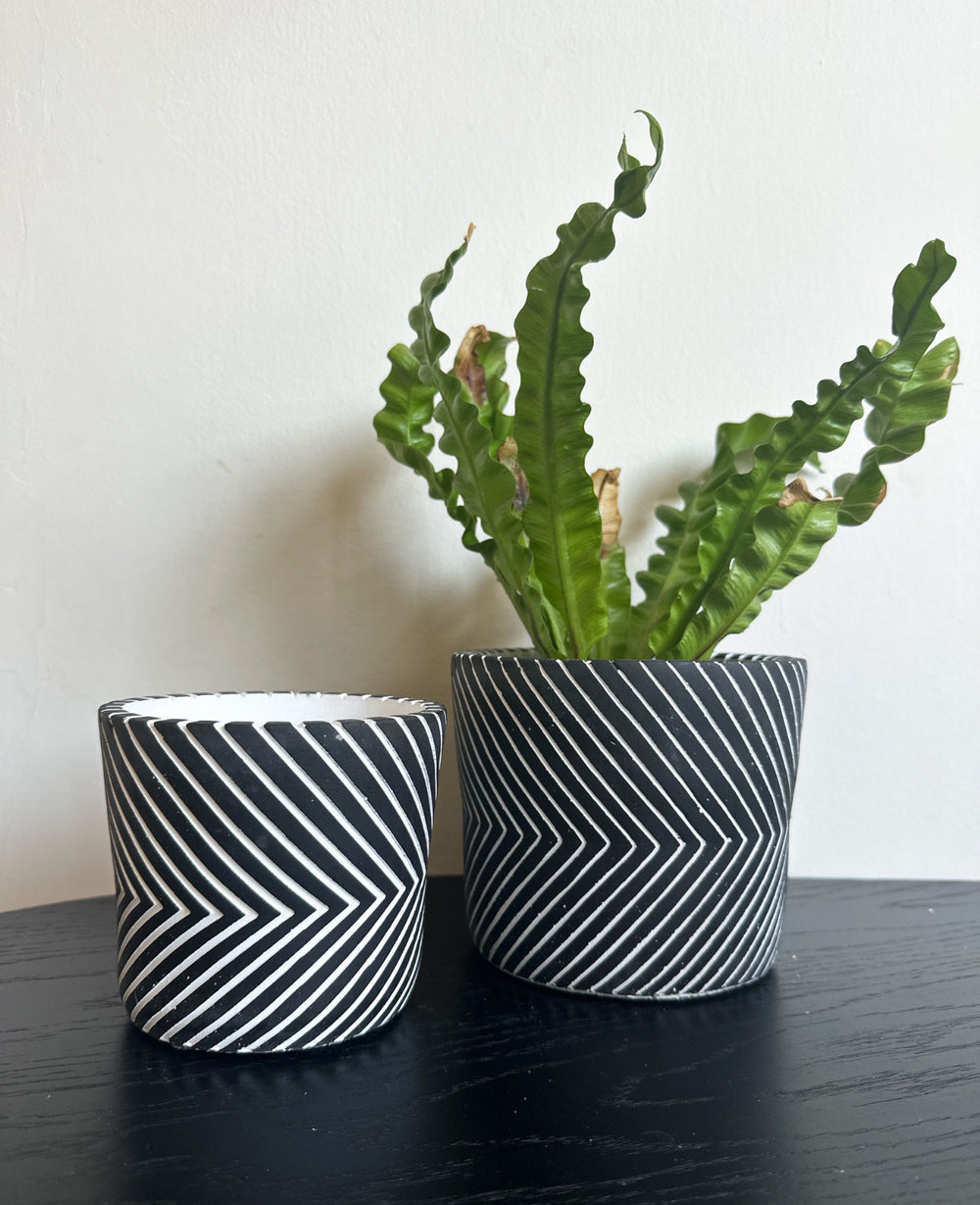 עציץ בטון וי שחור (B2B)