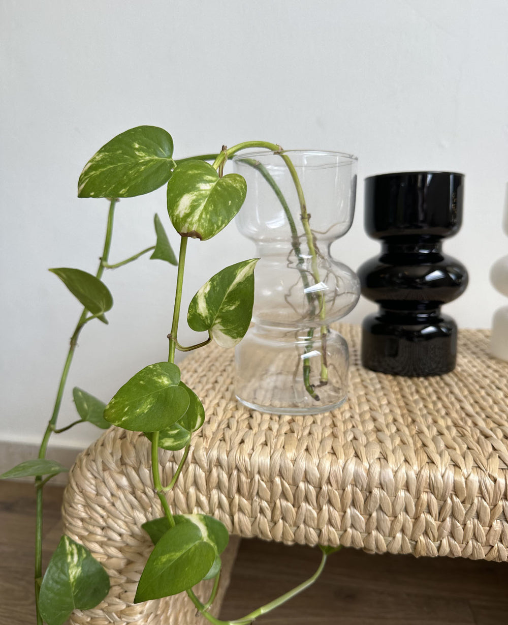 ואזת זכוכית רפאל