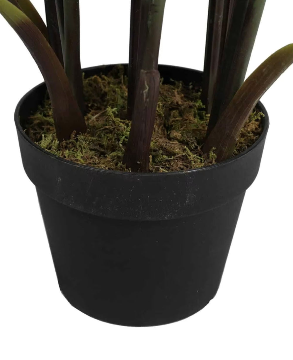 עציץ מלאכותי דקל אריקה