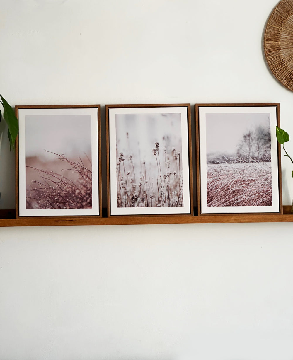 תמונות קיר ווילד (B2B)