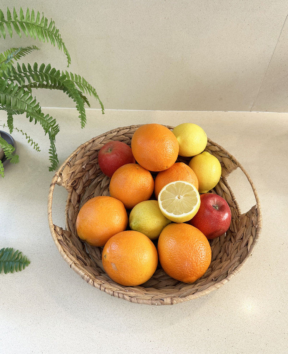 מגש עשב ים סוף (B2B)