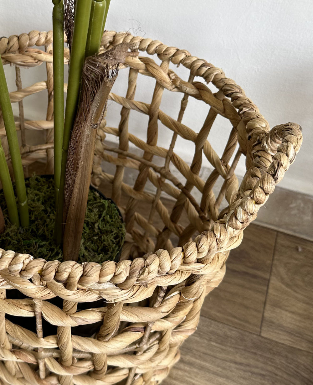 סלסלת עשב ים פאפי (B2B)