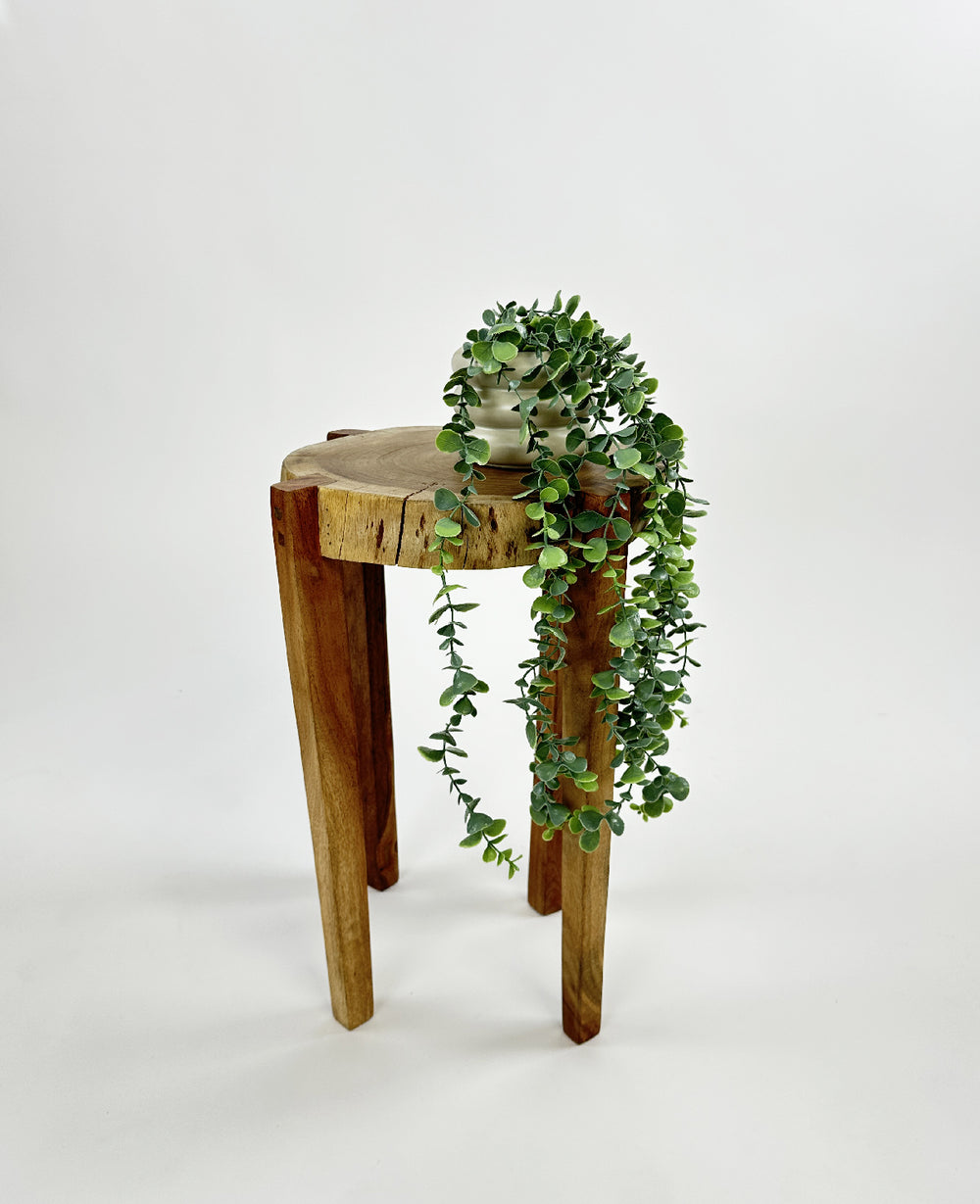 עציץ מלאכותי סברינה