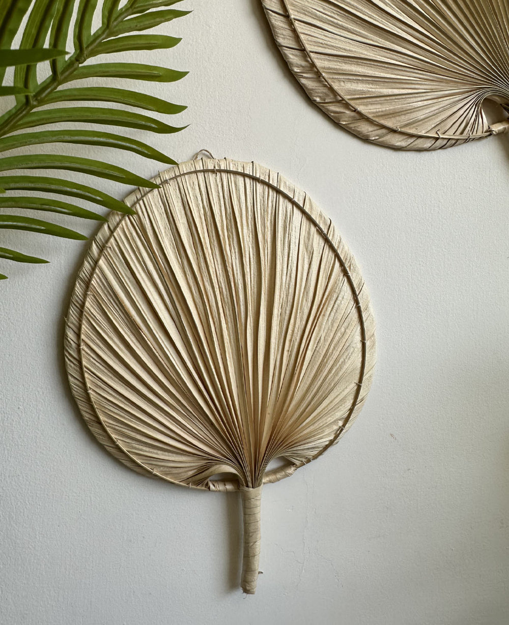 מניפת דקל שייח (B2B)