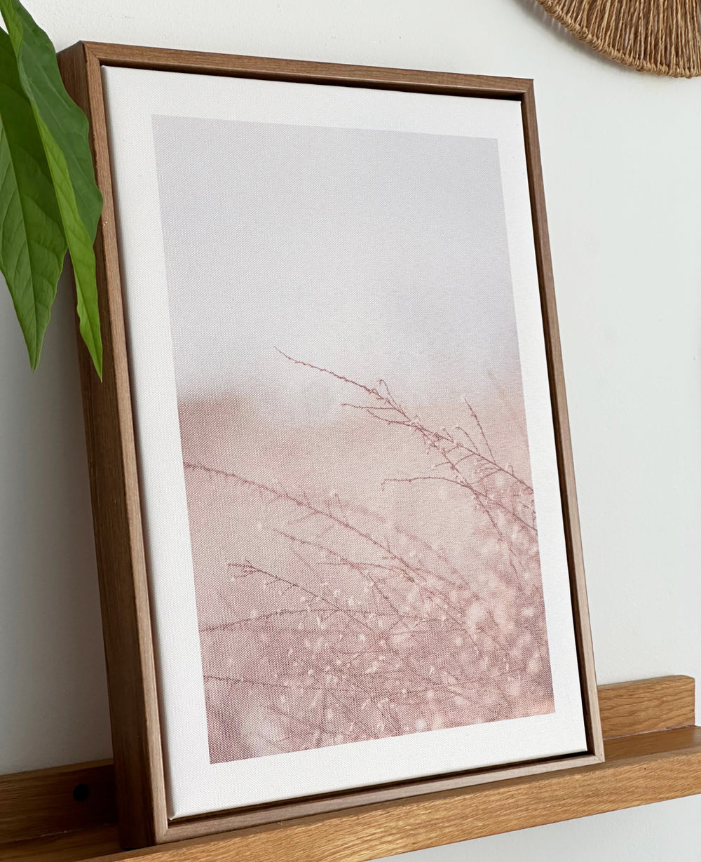 תמונות קיר ווילד (B2B)