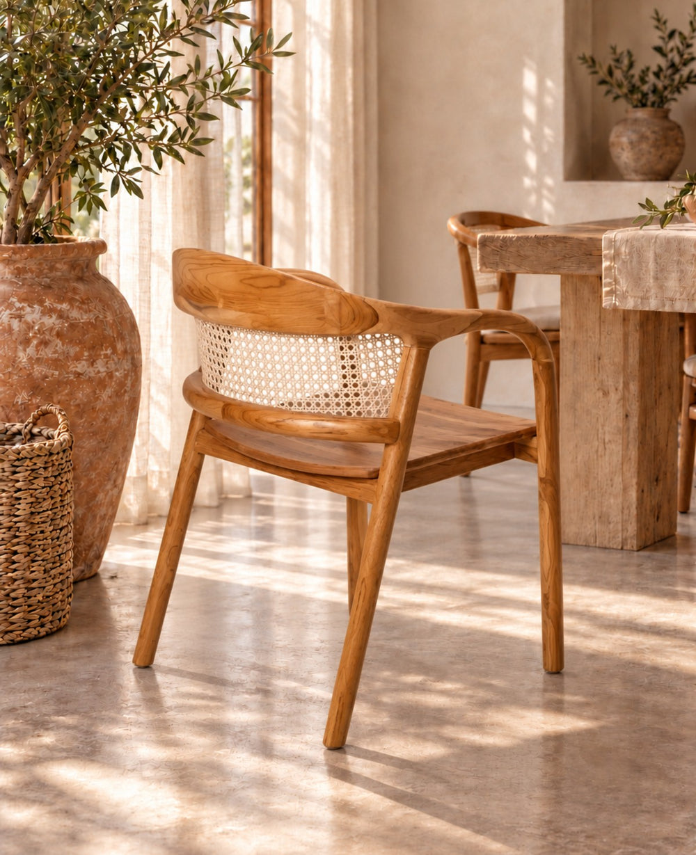 כיסא אוכל ELIO RATTAN