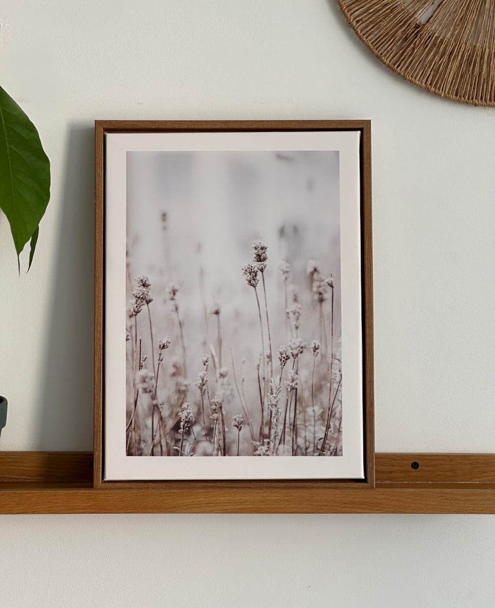 תמונות קיר ווילד (B2B)