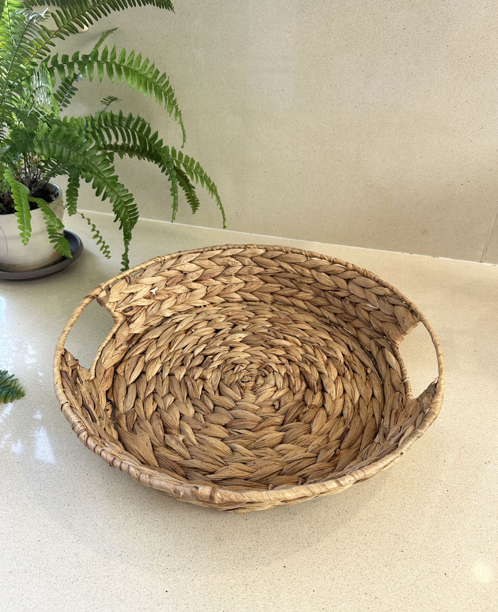 מגש עשב ים סוף (B2B)