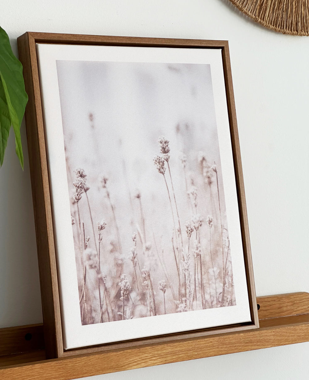 תמונות קיר ווילד (B2B)