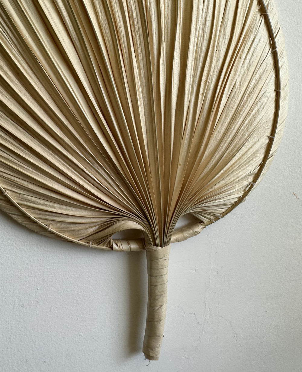 מניפת דקל שייח (B2B)