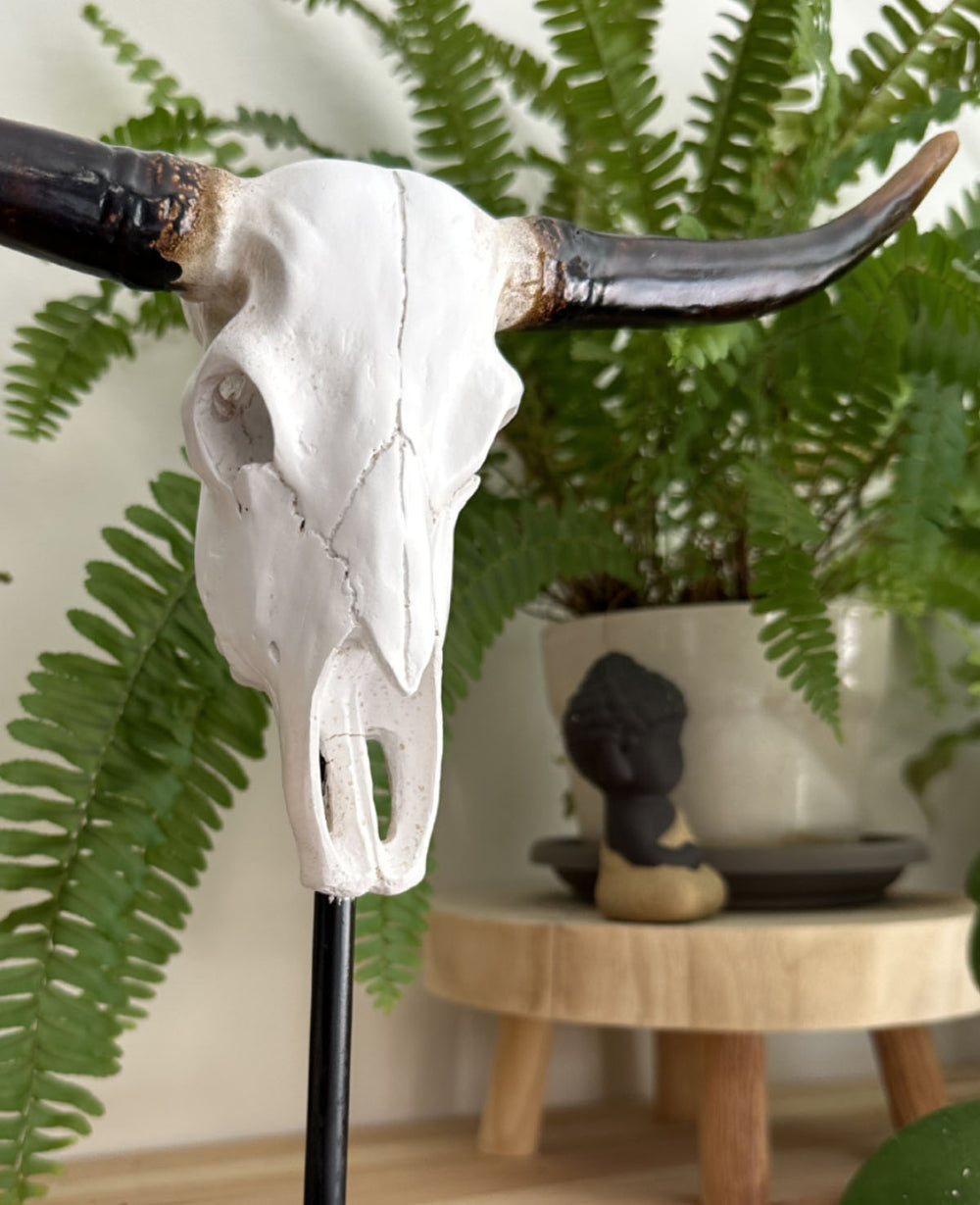 פסל בוהו (B2B)