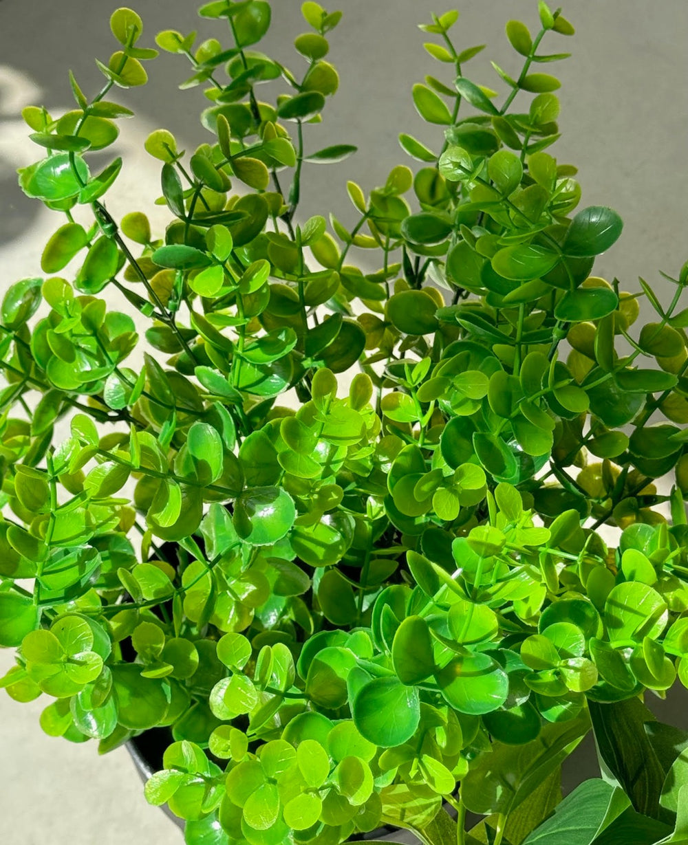 עציץ מלאכותי אקליפטוס