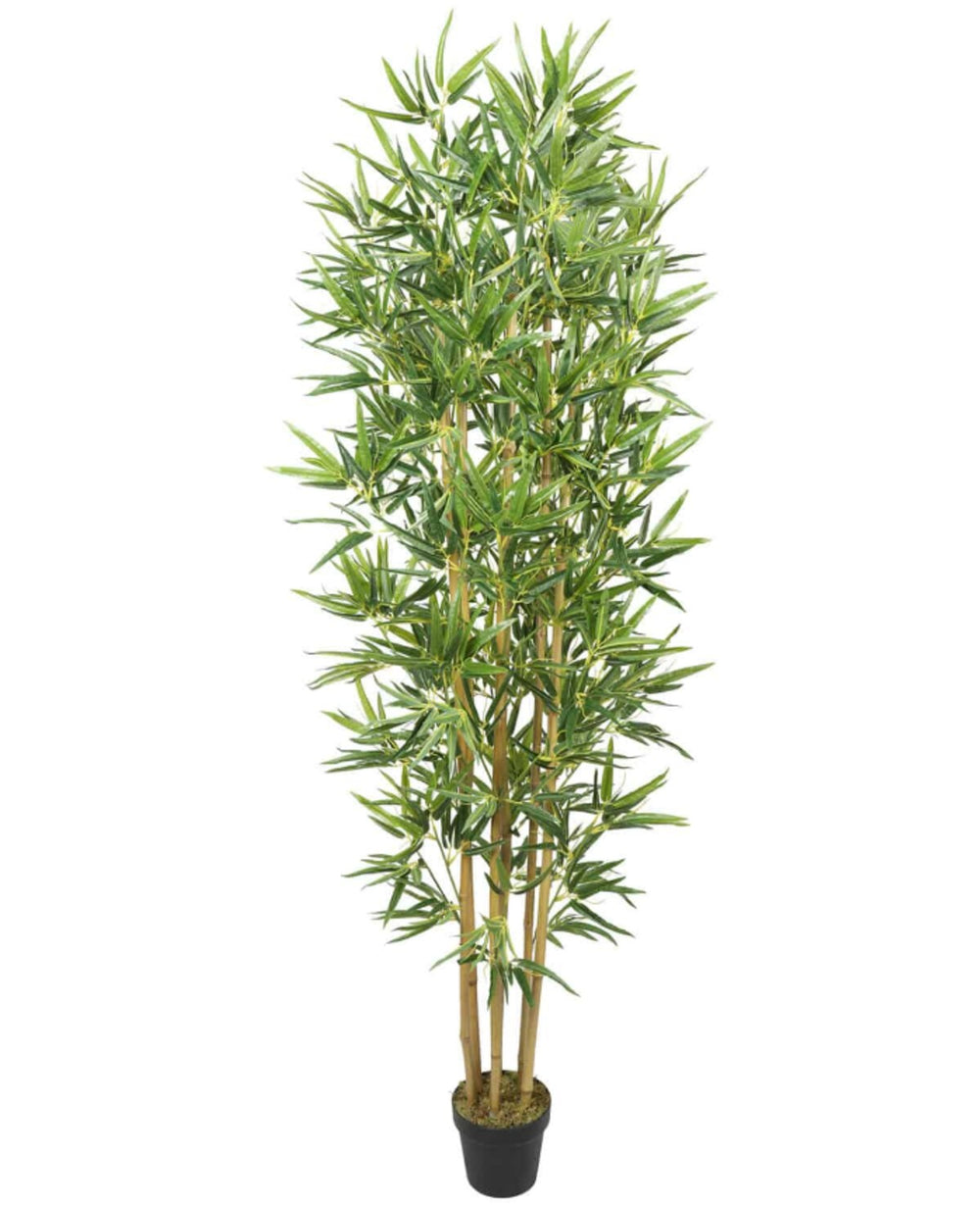 מלאכותי במבוק מלאכותי