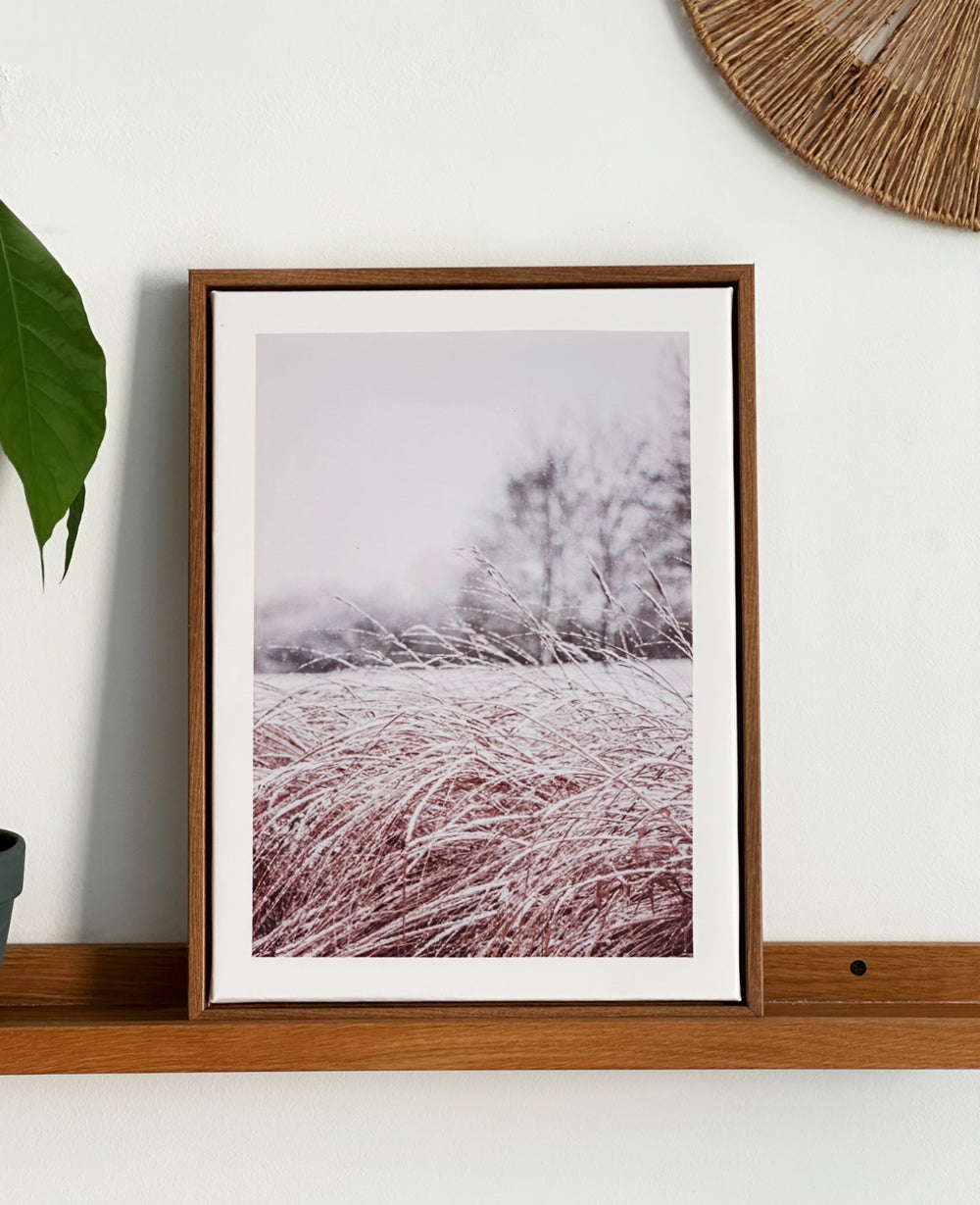 תמונות קיר ווילד (B2B)