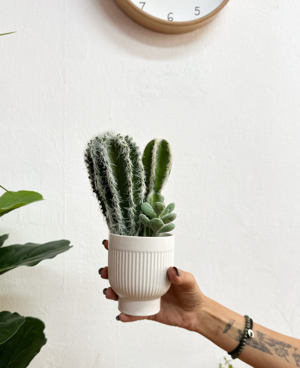 כלי לעציץ סטרייפ