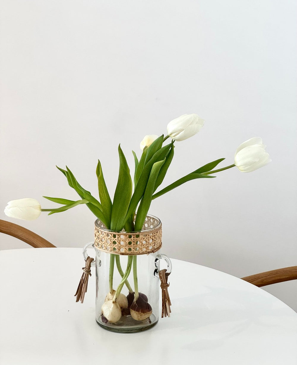 אגרטל זכוכית בר (B2B)