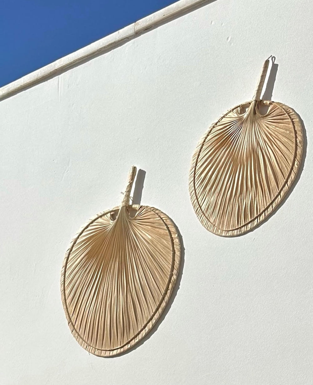 מניפת דקל שייח (B2B)