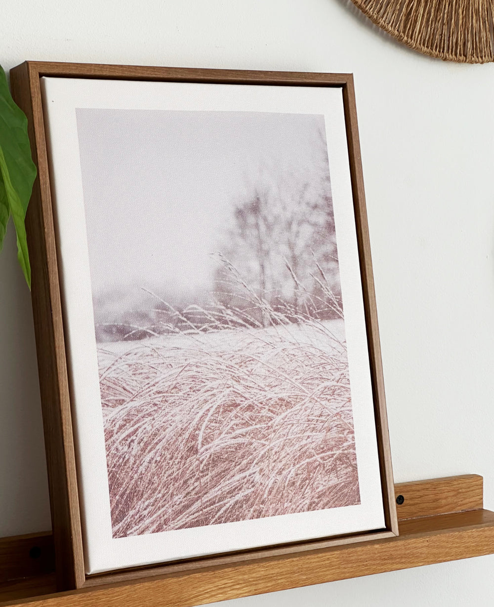 תמונות קיר ווילד (B2B)