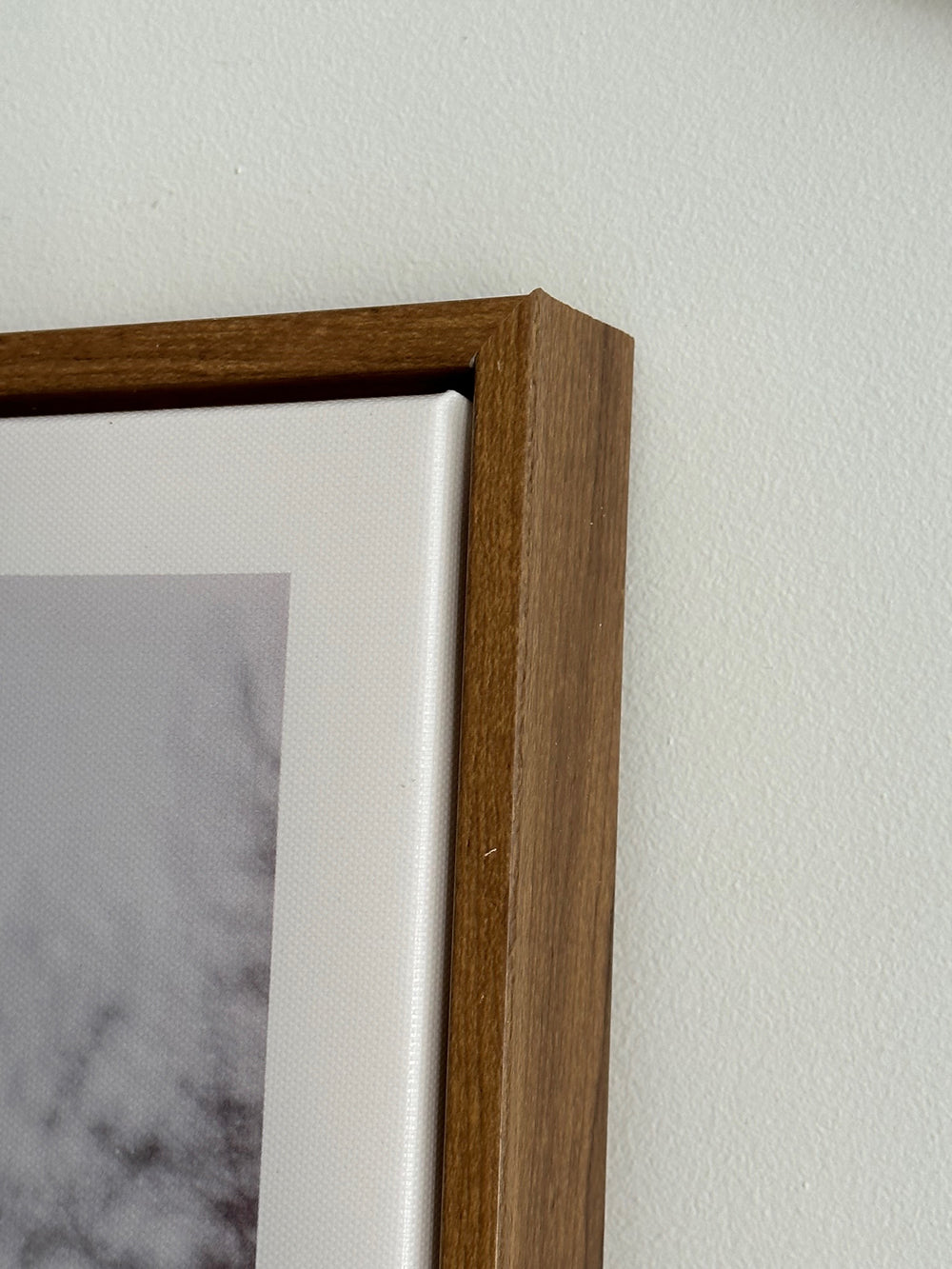 תמונות קיר ווילד (B2B)