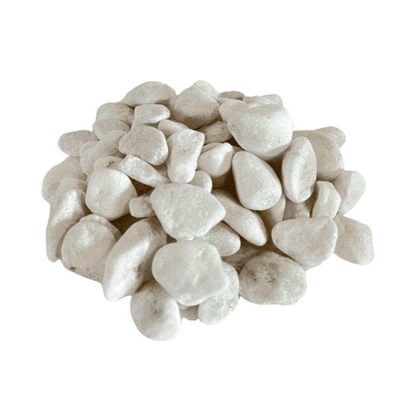 ציפור גן עדן כולל כד קורפו