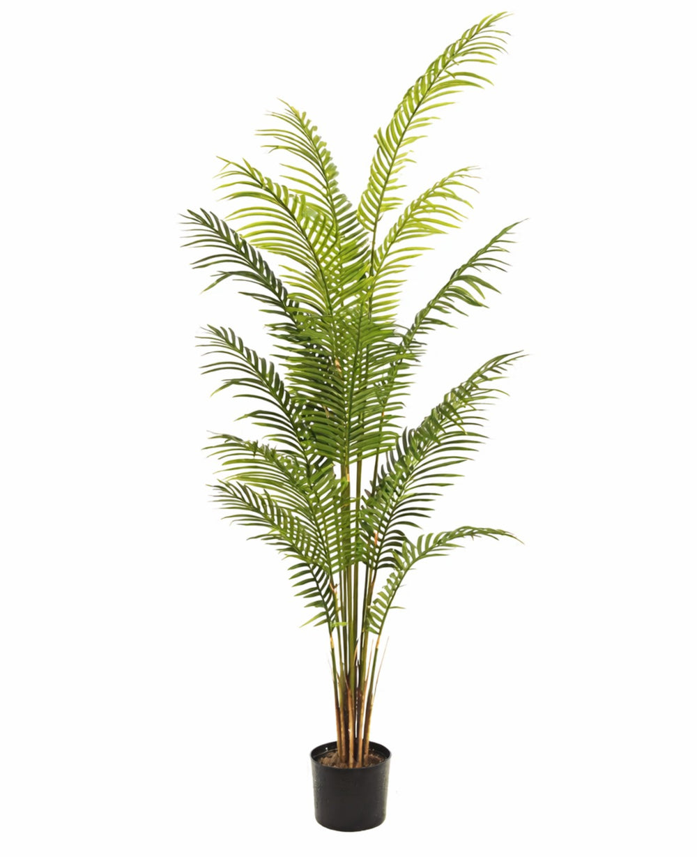 עציץ מלאכותי דקל הוואי