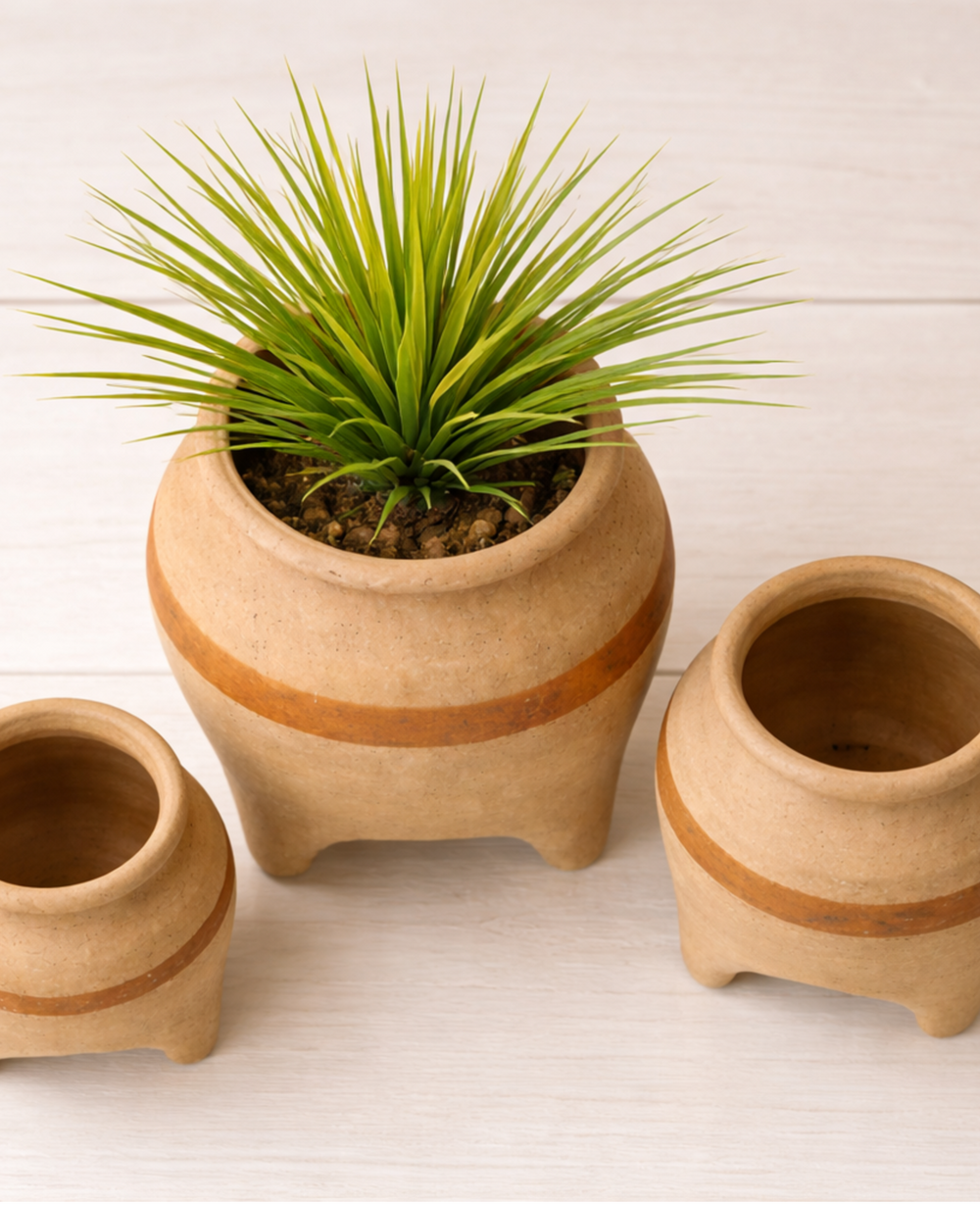 כד טרקוטה ג'ונס