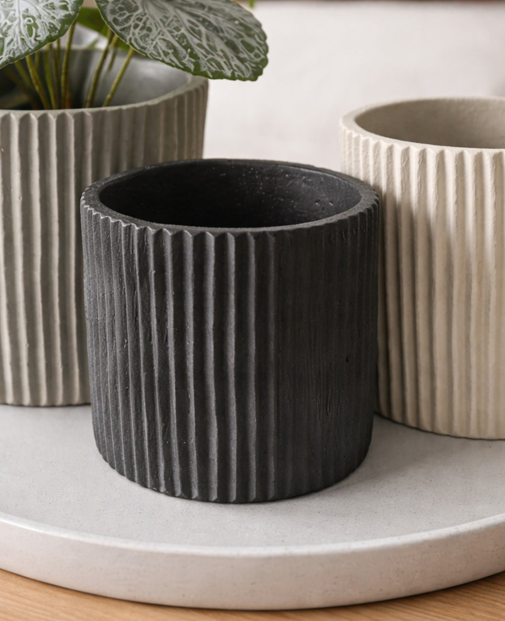 כלי בטון לעציץ לוסי