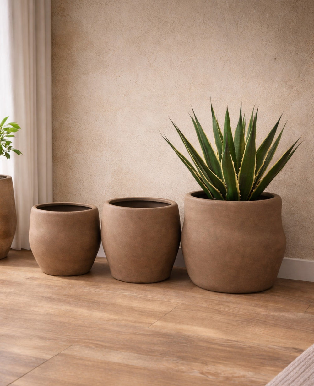 כד אליס מוקה