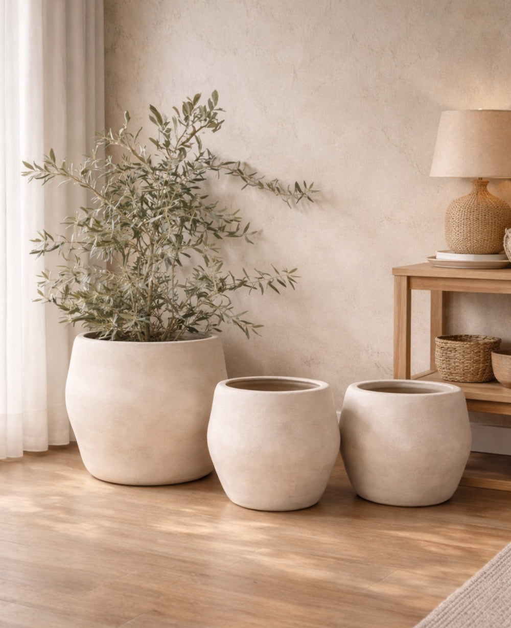 כד אליס לבן