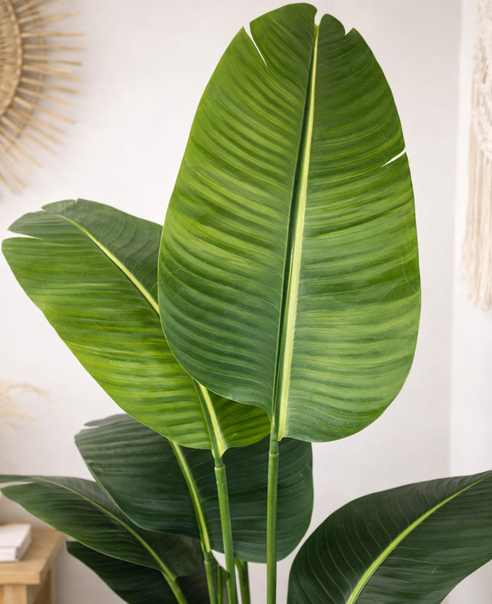 עציץ מלאכותי בננה