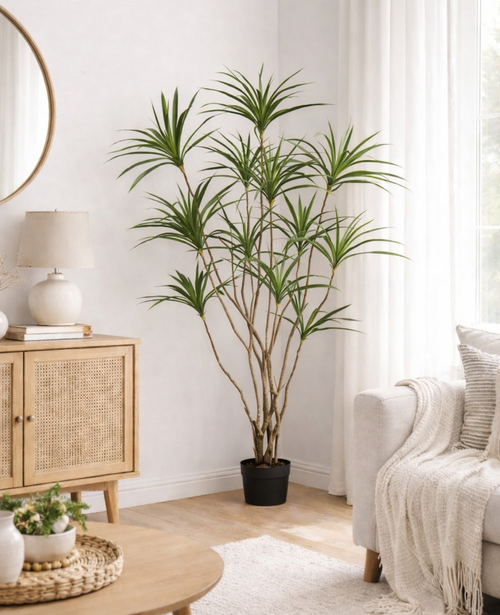 עציץ מלאכותי דרצנה