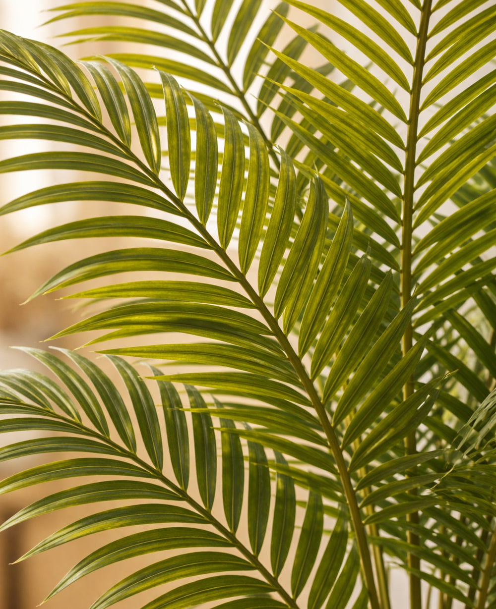 עציץ מלאכותי דקל הוואי