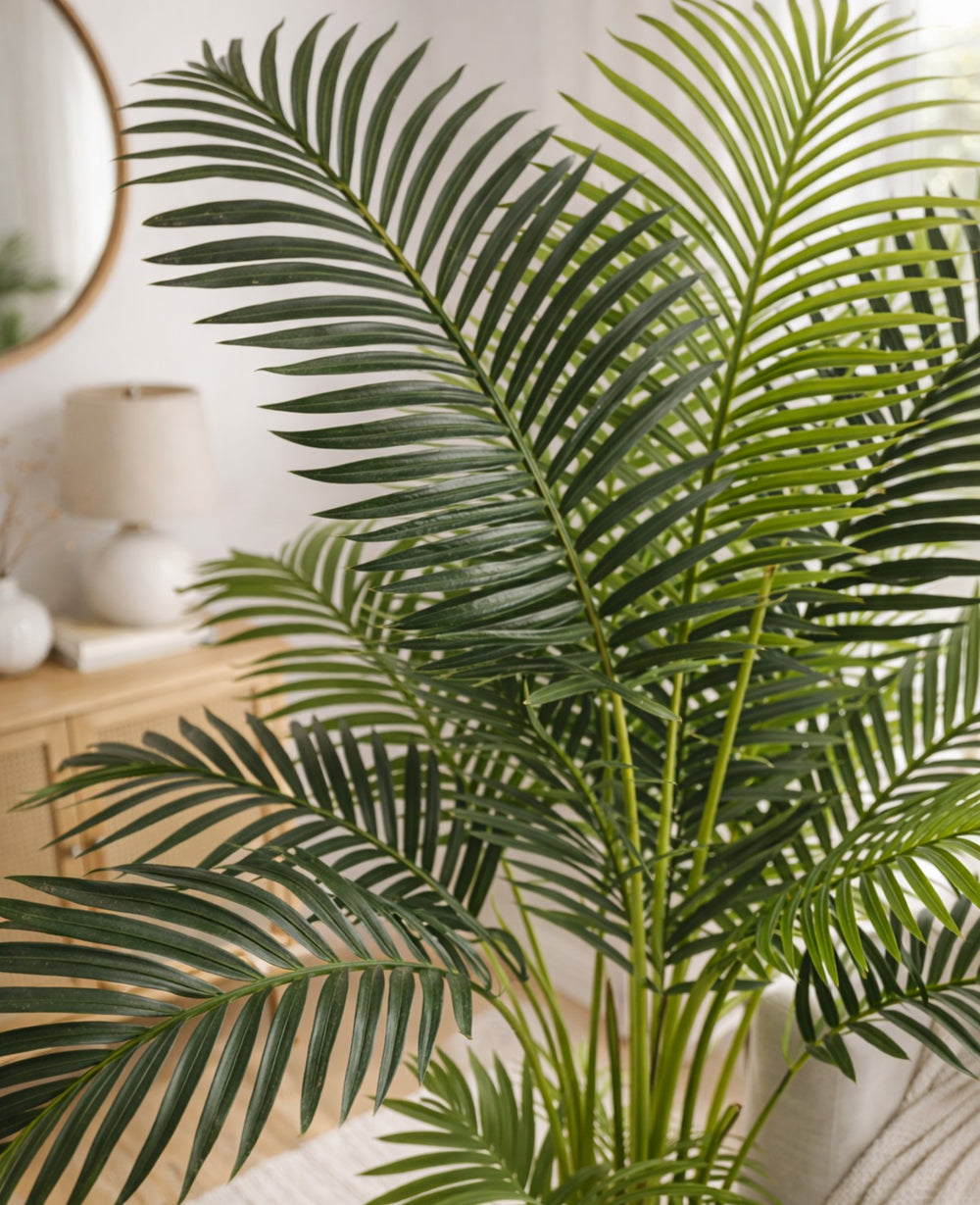 עציץ מלאכותי הוואי