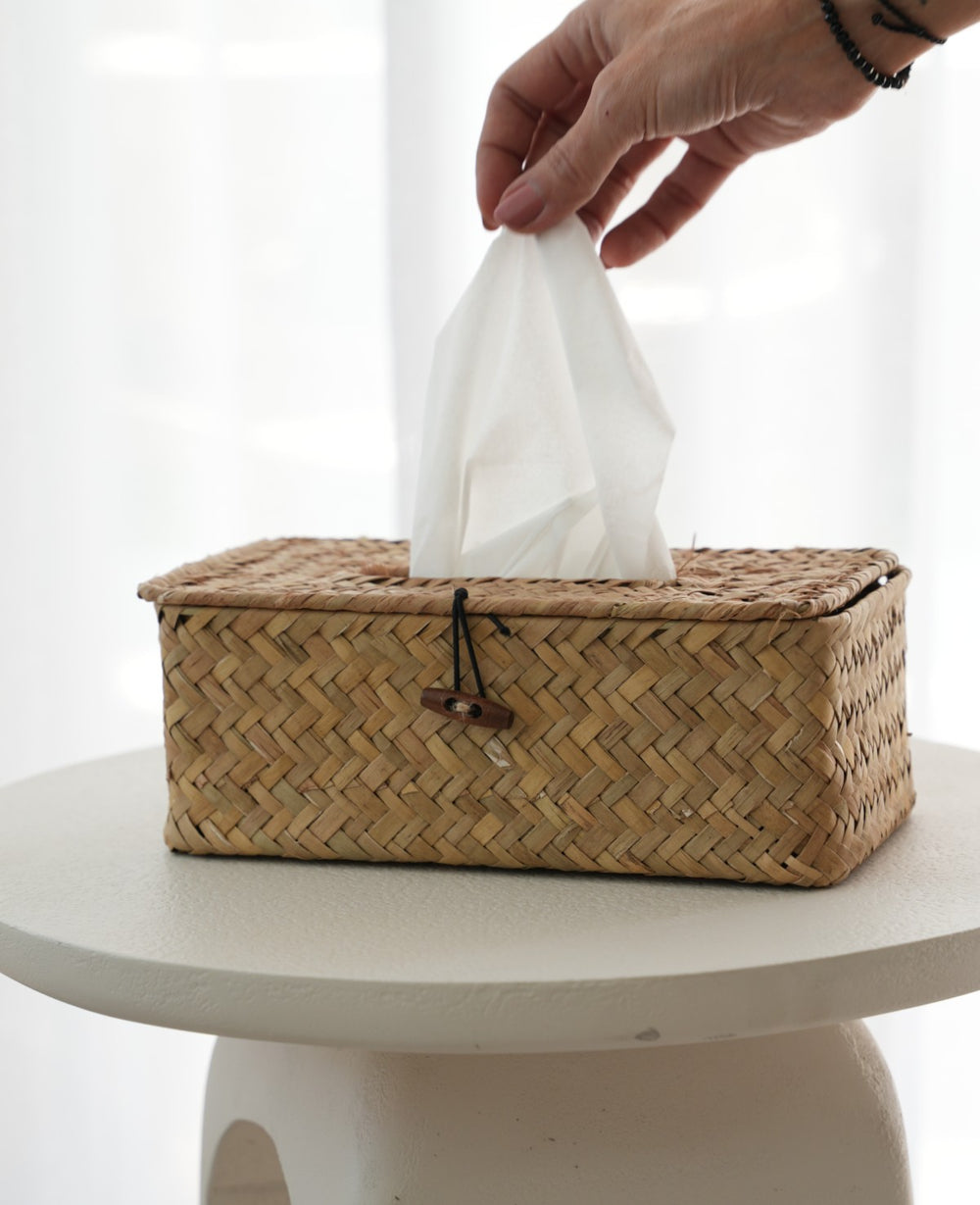 קופסת קש לטישו (B2B)