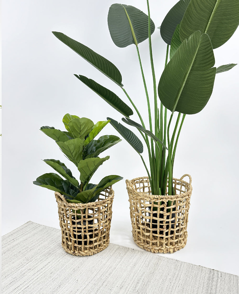 סלסלת עשב ים פאפי (B2B)