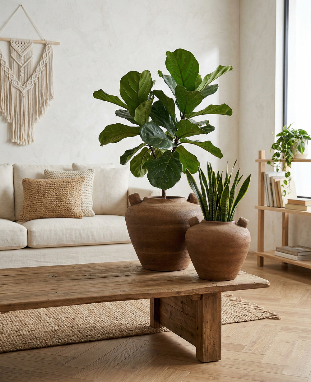 כד נורה אדמה