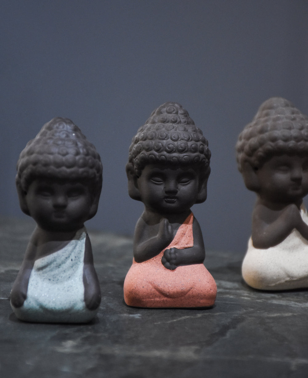 בייבי בודהה (B2B)